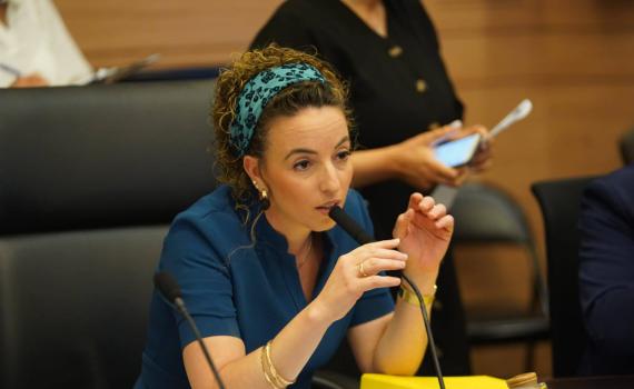 3 חודשים אחרי הבחירות: הוקמו הוועדות בכנסת