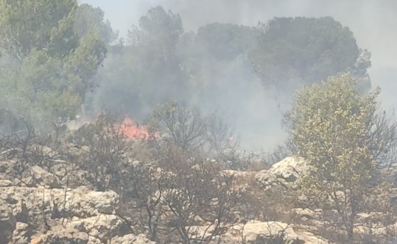 שוב שריפת ענק: הלהבות מאיימות על ביתר עילית