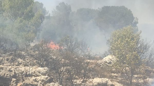 שוב שריפת ענק: הלהבות מאיימות על ביתר עילית