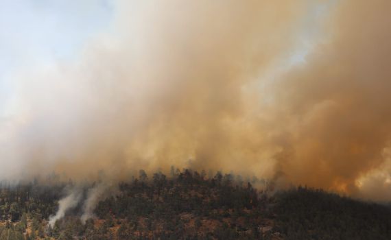 במקביל לשריפה בירושלים: מספר שריפות פרצו בשומרון
