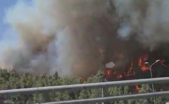 שריפת ענק ליד מבשרת ציון: תושבים פונו מבתיהם