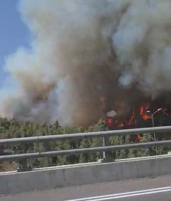 שריפת ענק ליד מבשרת ציון: תושבים פונו מבתיהם