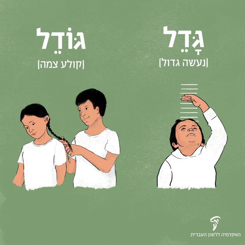 גדל או גודל? ישן או יושן? האקדמיה ללשון מסבירה