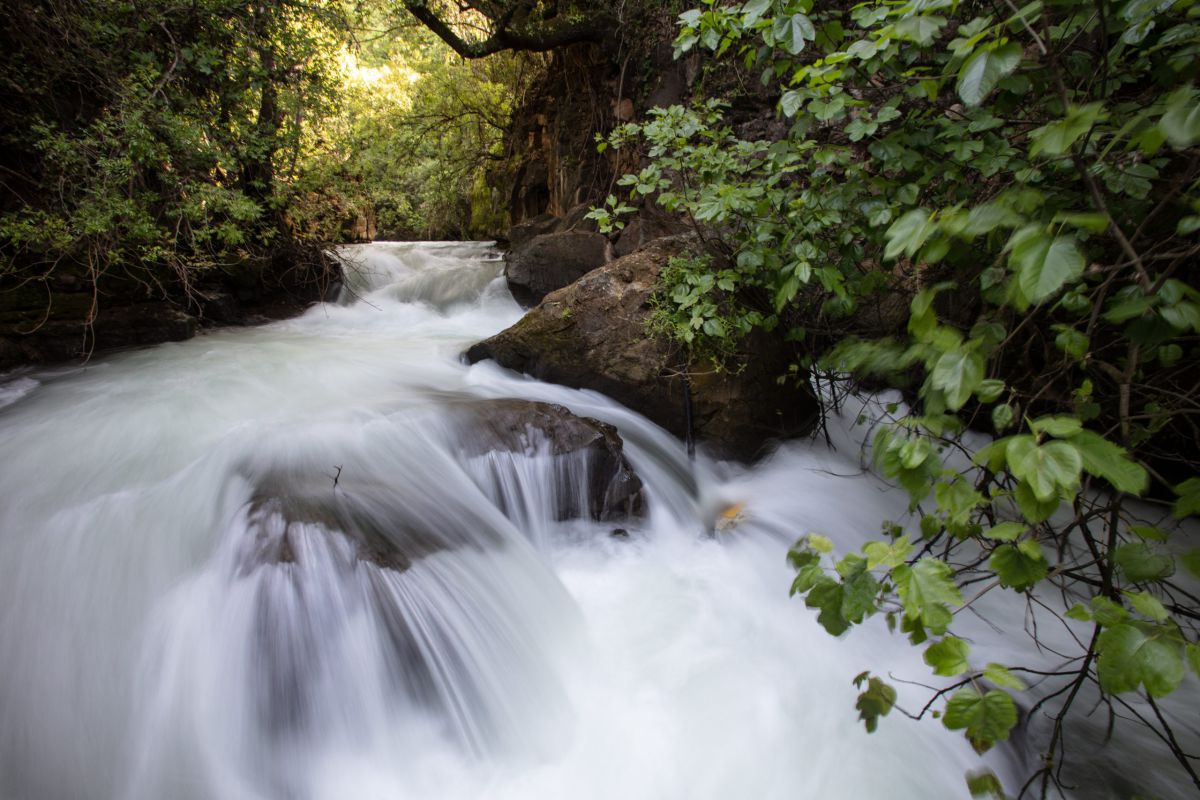 בעקבות ההתחממות בגבול הצפוני: אתרי הטבע נסגרים