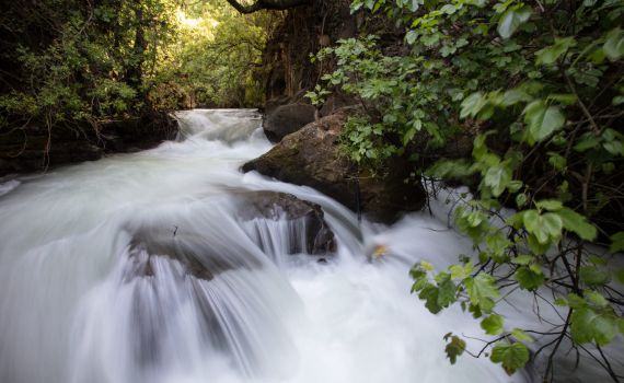 לציבור הנופשים: זיהום חריג ב-10 נחלים בצפון