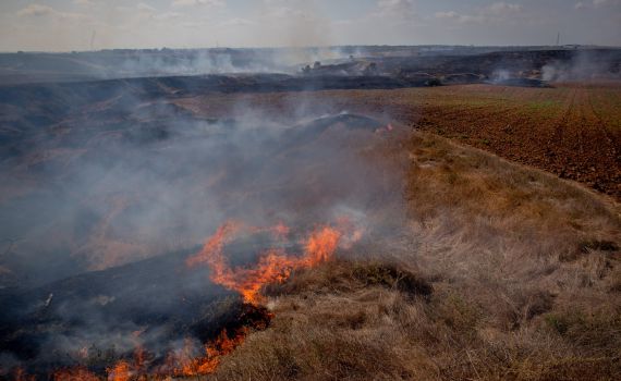 20 שריפות בעוטף עזה כתוצאה מטרור הבלונים