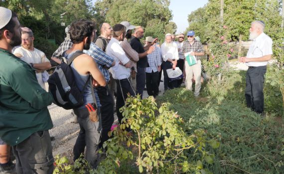 לקראת שנת השמיטה: הגננים מתכוננים לאתגרים