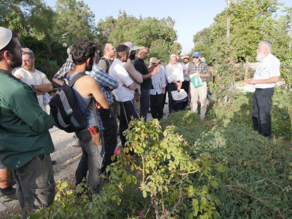 לקראת שנת השמיטה: הגננים מתכוננים לאתגרים