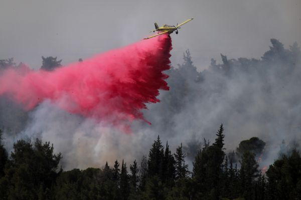 עלו באש 2,650 דונם של חורש בשריפה בהרי ירושלים