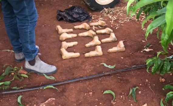 12 אקדחים נתפסו: סוכל הברחת נשק בגבול לבנון