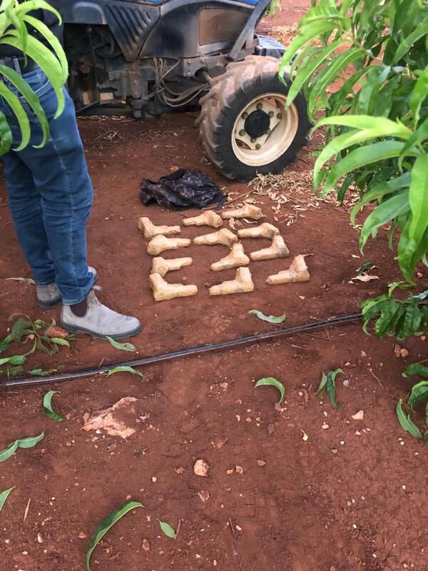 12 אקדחים נתפסו: סוכל הברחת נשק בגבול לבנון