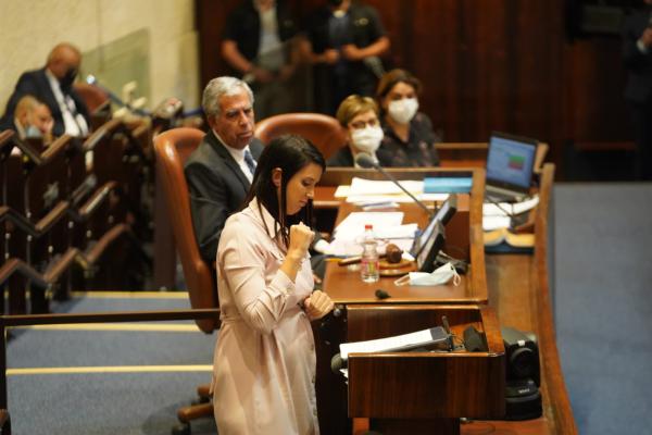 לראשונה: נאום בכנסת בשפת הסימנים • צפו