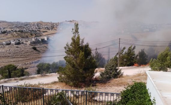 שריפת ענק בסמוך לישוב תקוע: התושבים פונו