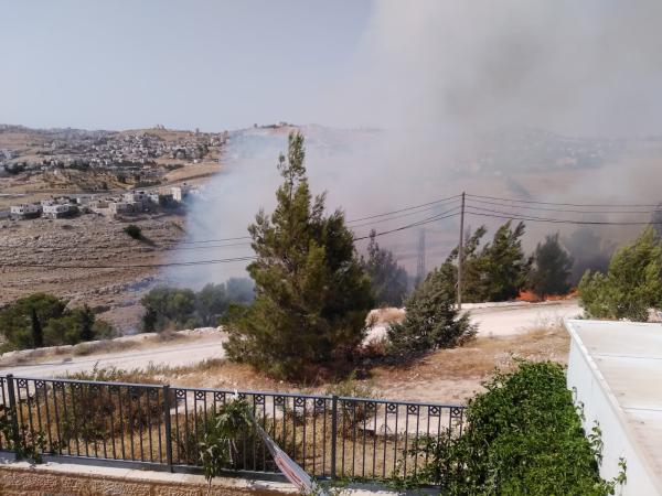 שריפת ענק בסמוך לישוב תקוע: התושבים פונו