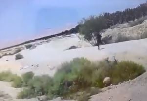 מחבל דקר חיילת וחטף את נשקה | צפו במרדף אחריו