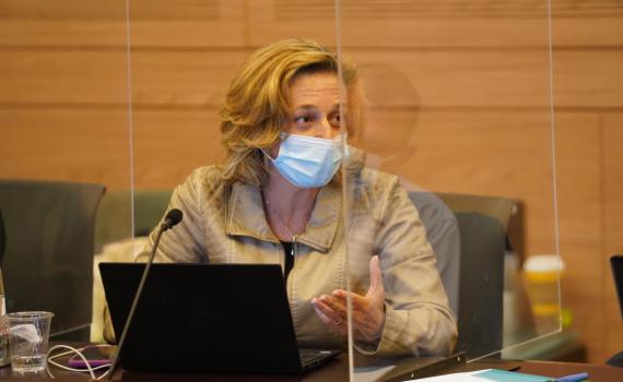 אלרעי פרייס יצאה עם בנה – ובריונים התנפלו עליהם