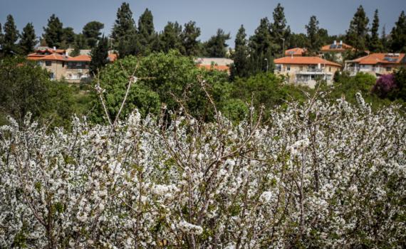 מגרעון לצמיחה: מועצת גוש עציון הצליחה בתהליך ההתייעלות
