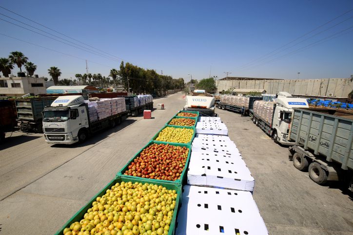 חומרי גלם וטקסטיל: לאור השקט, שורת הקלות לעזה