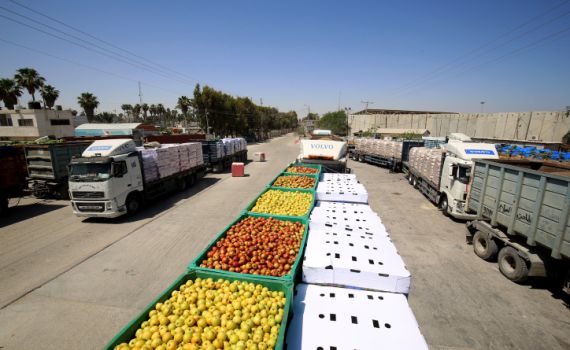 חומרי גלם וטקסטיל: לאור השקט, שורת הקלות לעזה