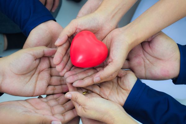 הסטארט-אפ של החסד – איך זה עובד? כל התשובות