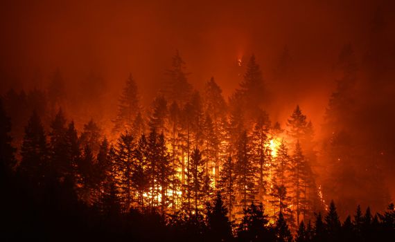 ארה"ב: שריפת ענק באורגון, אלפים פונו מבתיהם