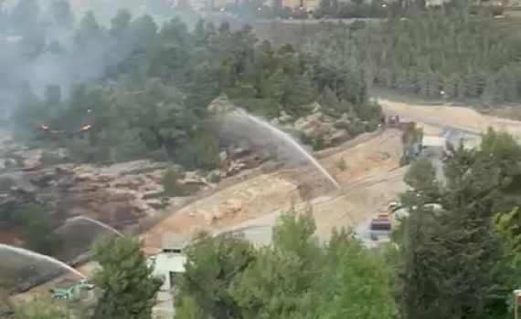 ערבי נעצר בחשד להצתת השריפה בגבעת שאול