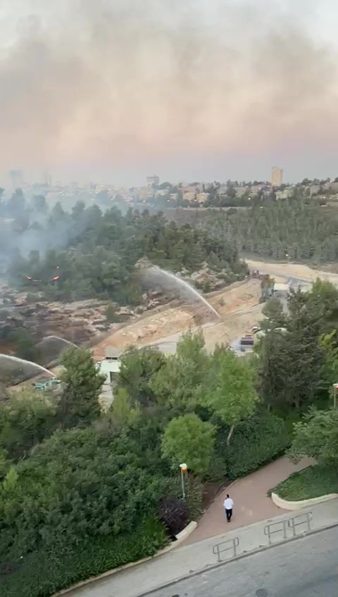 ערבי נעצר בחשד להצתת השריפה בגבעת שאול