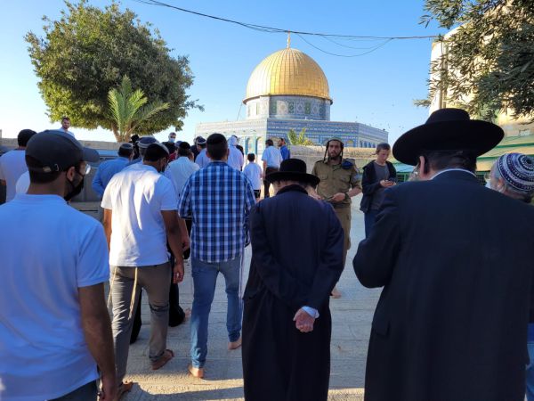 זינוק מפתיע של עולים להר מאז מבצע 'שומר החומות'