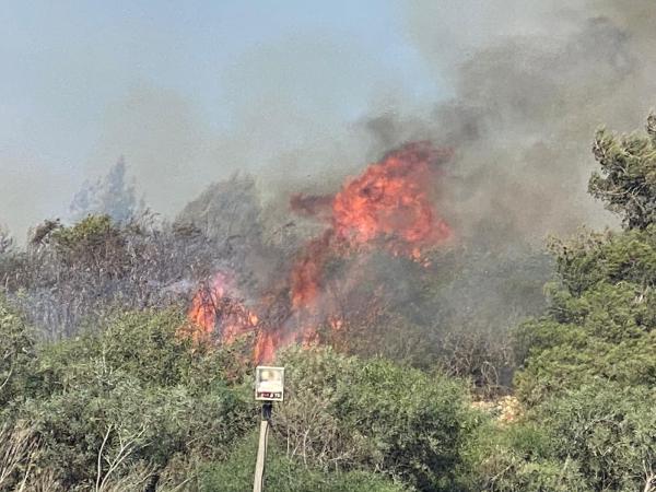 שריפת ענק מאיימת על היישוב בית אל. צפו בתיעוד