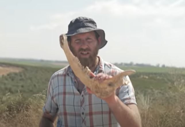 לא תאמינו, אבל זה היה הנשק הכי קטלני בתנ"ך