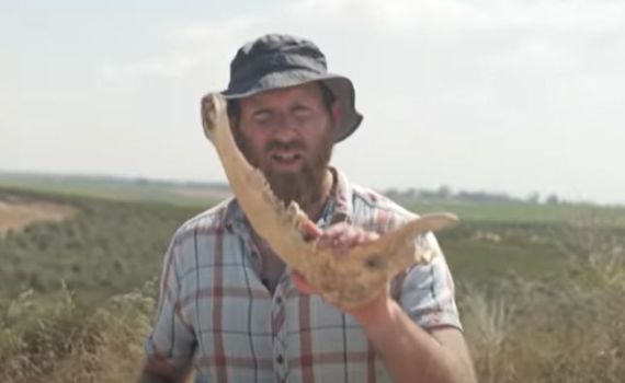 לא תאמינו, אבל זה היה הנשק הכי קטלני בתנ"ך