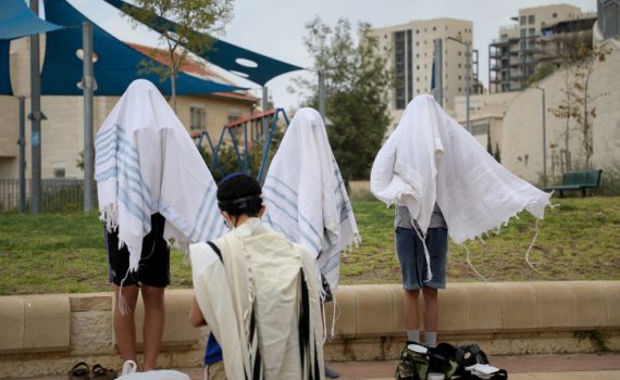 האשמת הגרעינים התורניים בלתי מבוססת | תגובה