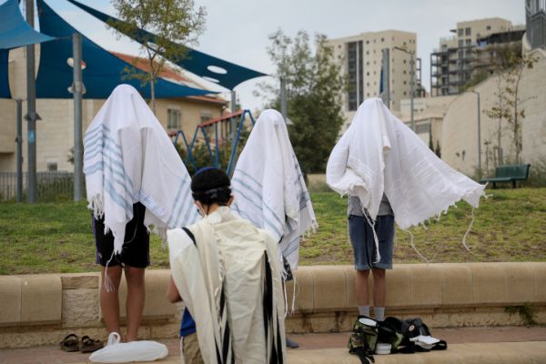 האשמת הגרעינים התורניים בלתי מבוססת | תגובה