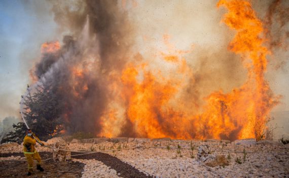 65 הרוגים, בהם 28 חיילים, בשריפות ענק באלג'יריה