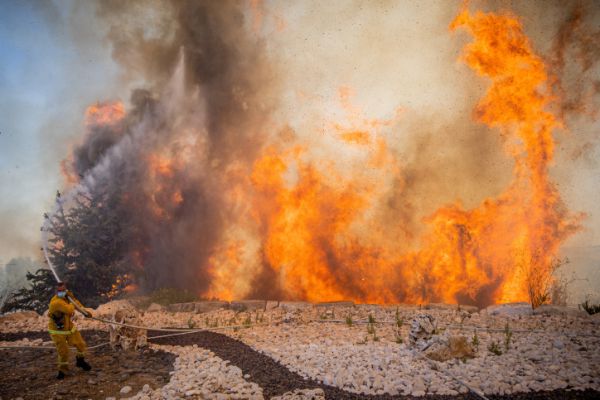 65 הרוגים, בהם 28 חיילים, בשריפות ענק באלג'יריה