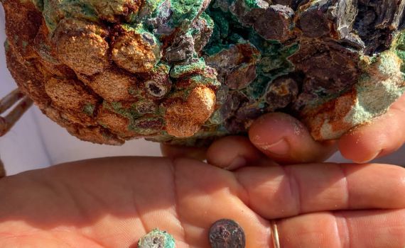 עשה קמפינג בחוף הים ומצא מטמון בן 1,700 שנה