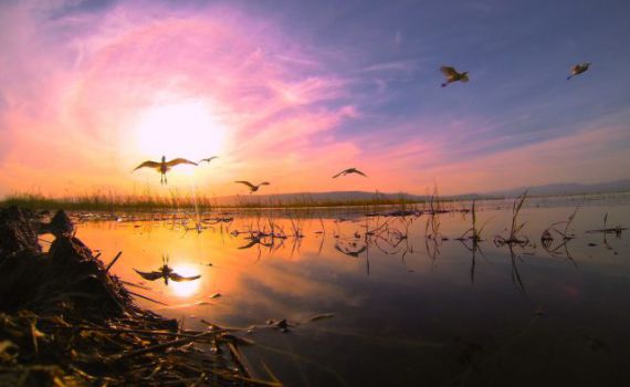 "כנרת – ים של חיים" הכנרת כמו שלא ראיתם מעולם