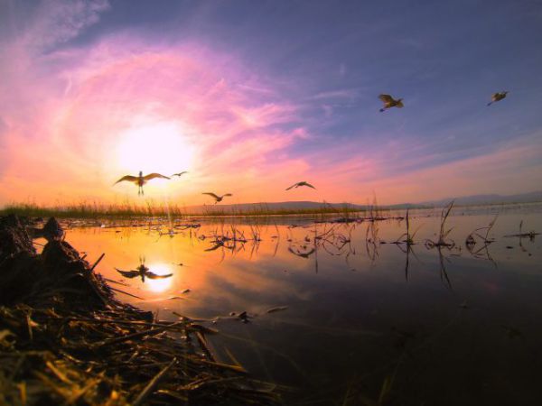 "כנרת – ים של חיים" הכנרת כמו שלא ראיתם מעולם