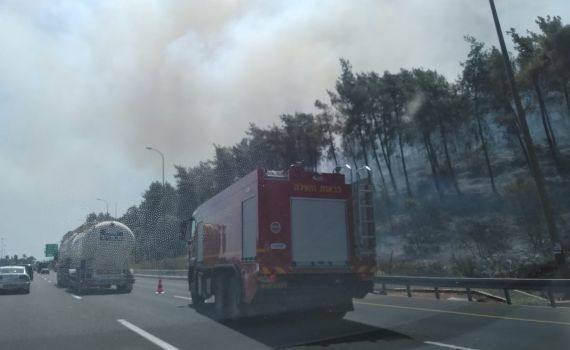 השריפה בהרי ירושלים: מאבק נרחב בקו הבתים