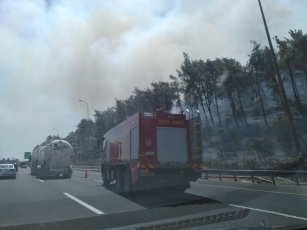 השריפה בהרי ירושלים: מאבק נרחב בקו הבתים