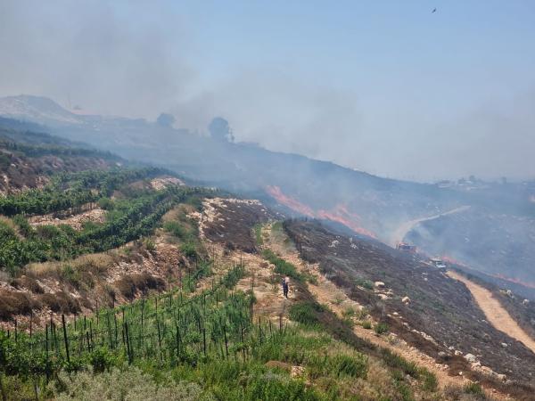 שריפה ליד ליד יצהר, התחדשה האש ליד שורש