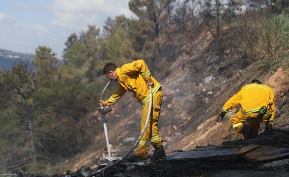 נאבקים בלהבות: במרבית הגזרות הגיעו להכלה של האש