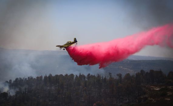 יוון וקפריסין יסייעו: משרד החוץ פנה למדינות העולם