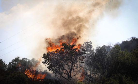 גיוס כללי במערך כבאות והצלה | שוקלים סיוע בינ"ל