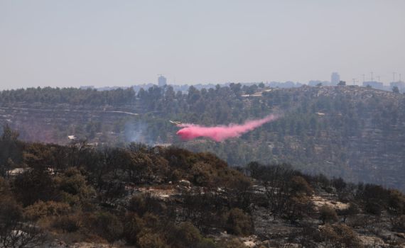 השריפה בירושלים: "לא להגיע לכבישים החסומים"