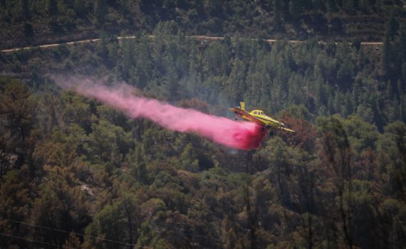 השריפה בהרי ירושלים התחדשה בשלושה מוקדים