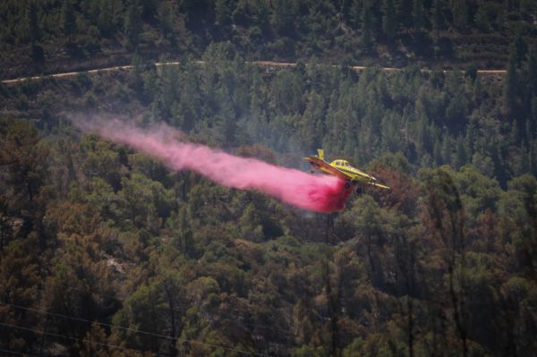 השריפה בהרי ירושלים התחדשה בשלושה מוקדים