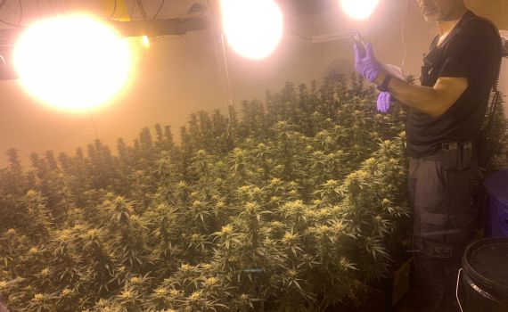 בני זוג חשודים כי ניהלו מעבדת סמים בתל אביב