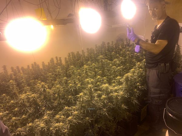 בני זוג חשודים כי ניהלו מעבדת סמים בתל אביב