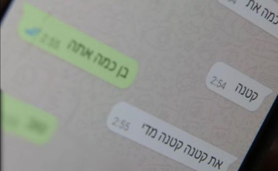 נעצרו 33 גברים שפיתו ילדות ברשת